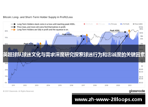 英超球队球迷文化与需求深度研究探索球迷行为和忠诚度的关键因素 英超球队球迷文化与需求深度研究探索球迷行为和忠诚度的关键因素