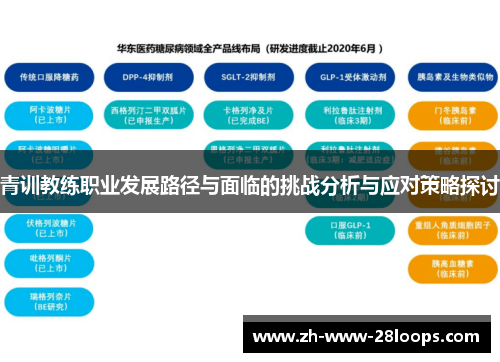 青训教练职业发展路径与面临的挑战分析与应对策略探讨